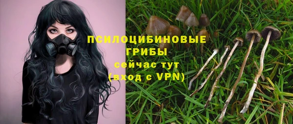 спиды Арсеньев