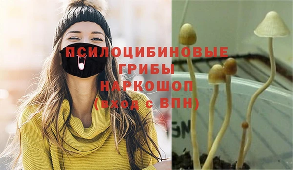 спайс Аркадак
