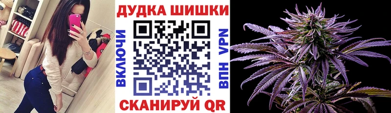 где можно купить наркотик  Ленинск  Бошки Шишки сатива 